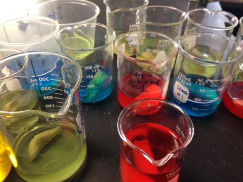 Science 4 